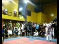 sanshou vs taekwondo