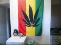 pot plants 4th week of flowering