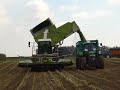 Claas ma�sdorser