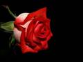 ORHAN VEL� ANLATAMIYORUM