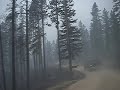 Aftermath of Cascade Fire in Camp Senia #1