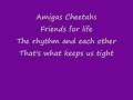 amigas cheetahs with lyrics by the cheetah girls
