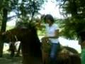 mkt en uMecuaro