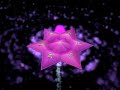 Yantra