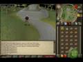 videos de RuneScape Low Level Money Making (Members)