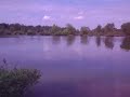 Gold Lake Gold Lake