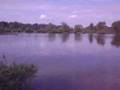Gold-Lake