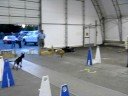 Tug jumps