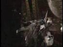 stargate-sg1-trailer-unsichtbare-fesseln.html