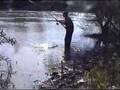 JJ Cabanes silurus fishing 16-Silurus glanis-Siluro crecida
