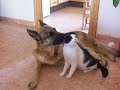 友だちへ