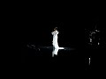 Carola - 