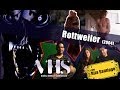 ver trabalho Rottweiler