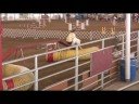 Jax runs from Baytown Kennel Club Jax runs from Baytown Kennel Club