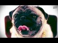 Jack Holiday & Mike Candys The Riddle Anthem Video and Lyrics