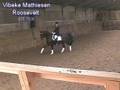 Intermediate Dressage Test 7 - idt7820