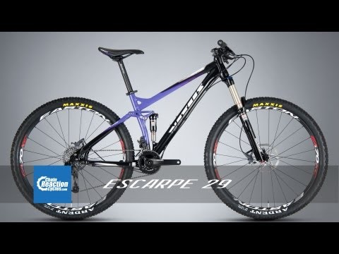 chain reaction cycles