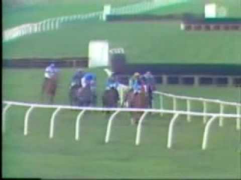 racing results cheltenham