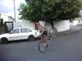 rl limeira