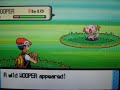 Shiny Wooper (1 of 5) pokeradar chain 41 pokemon diamond