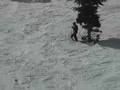 Watch Segal Ski