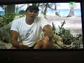 Shark sex Shark sex