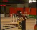 CSO Alençon 2001