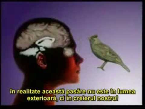 Realitatea Holografică este o iluzie?