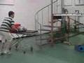 Vidéo TAPTA 2008