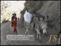 EL JILGUERO DEL HUASCARÁN - BAMBAS QUERIDO