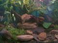 My Big Aquarium My Big Aquarium