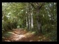 Les �p�es Durandil