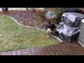 First Snow Encounter
