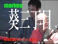 marimo TV vol.16 marimo TV vol.16