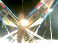 videos de Xtreme yunuen
