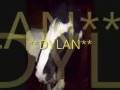videos de 4 yrs 16 hh Bay Welsh X Sheffield
