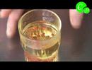 Initiation à la cuisine Moléculaire : Billes d'agar-agar