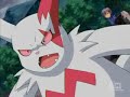 paul captures chimchar
