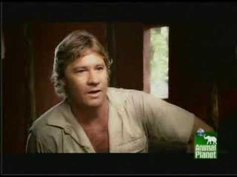 Steve Irwin Tribute (Hey Steve)