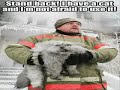 Very Funny Cats 1 Very Funny Cats 1