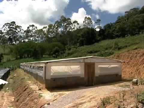rural - O vídeo foi gravado na Ranac Agroidustrial Ltda., localizada no município de Antônio Carlos, região da Grande Florianópolis, em Santa Catarina. Ele mostra a ...