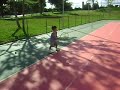 benja tenis