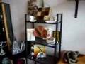 Atelier des Tuileries