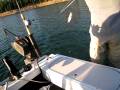 videos de union valley reservior