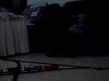 videos de 031