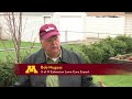 Get your lawn green again with the U of M