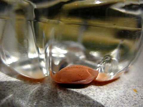 how to dissolve ibuprofen in water
