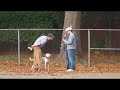 Remote helicopter crash and huge impact RC 36 Remote helicopter crash and huge impact RC 36
