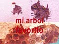 UN CORTO 3 MINUTOS DE MI Y MI VIDA