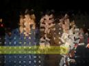 fiesta-de-carlos.html